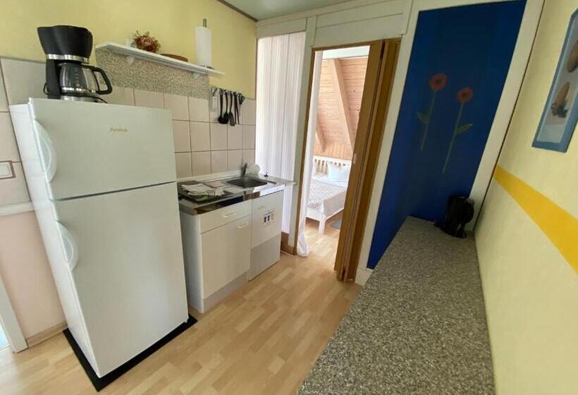 Апартаменты 1 Спальня, Aparthotel  Zur Müritz