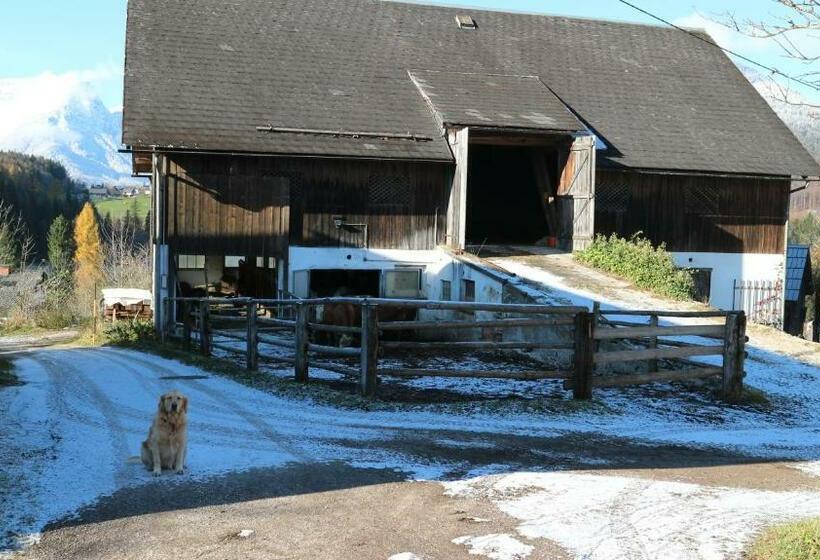 Апартаменты 1 Спальня с Видом, Haus Galler   Urlaub Am Bauernhof