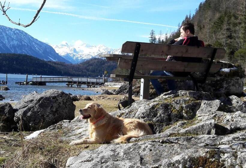 Апартаменты 1 Спальня с Видом, Haus Galler   Urlaub Am Bauernhof
