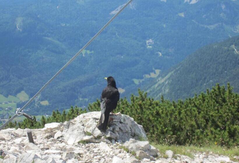 Апартаменты 1 Спальня, Haus Galler   Urlaub Am Bauernhof