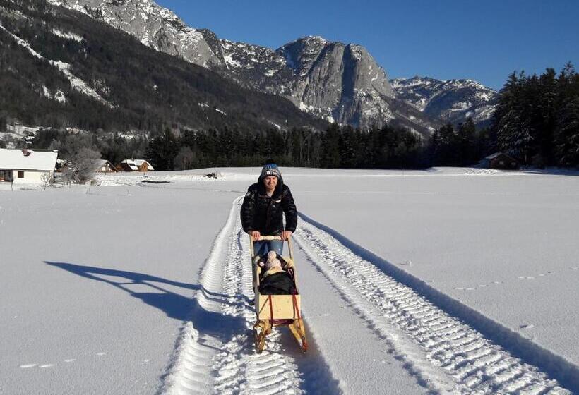 Апартаменты 1 Спальня, Haus Galler   Urlaub Am Bauernhof