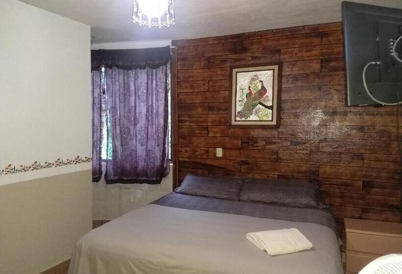 带大床的标准间, Hospedaje San Antonio Tepoztlán