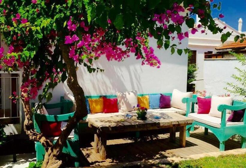 اتاق خانوادگی, The White House Kalkan