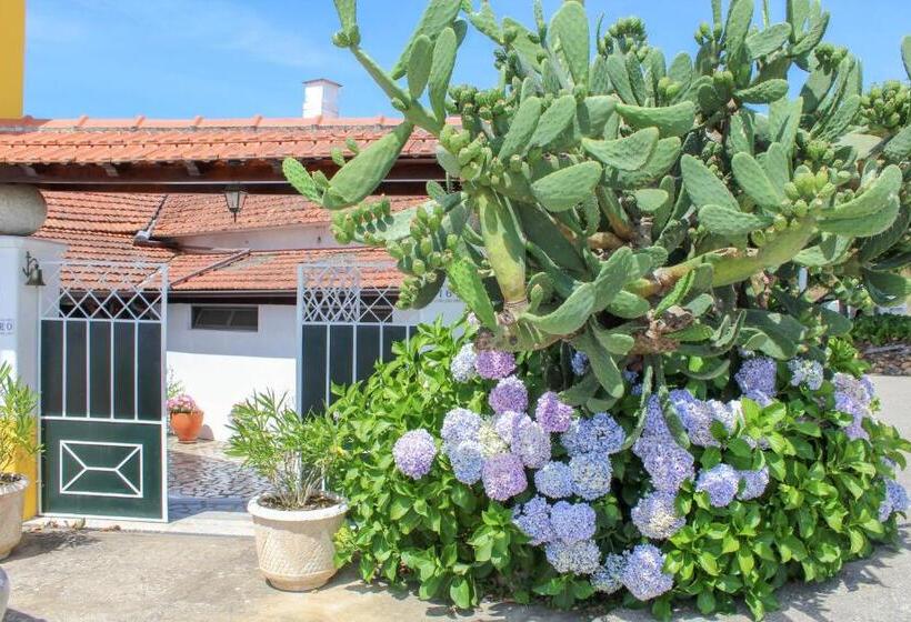 اتاق استاندارد, Quinta De Vale Escuro