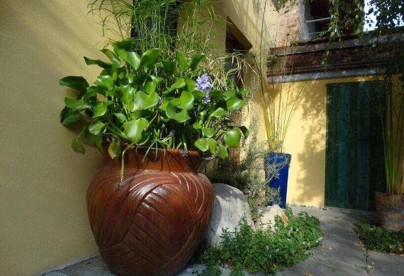 Апартаменты 1 Спальня, Agriturismo Casa De Colores