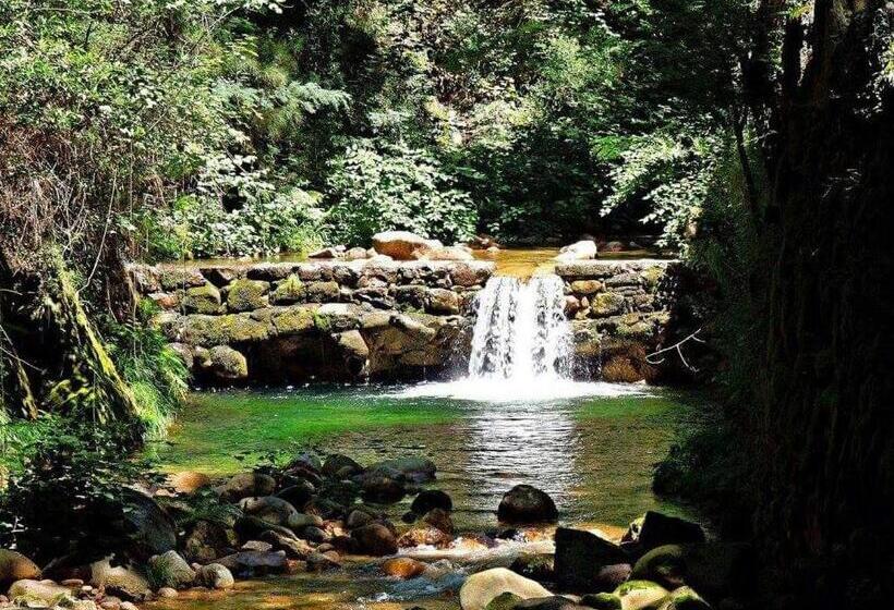 اتاق لوکس, Quinta Da Carvalha