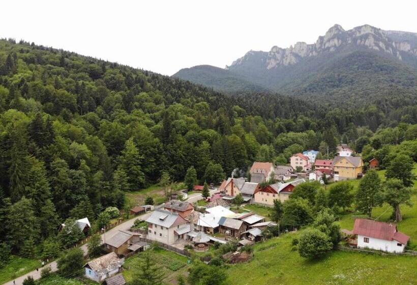 Номер Стандарт, Pensiunea Bia Papadia