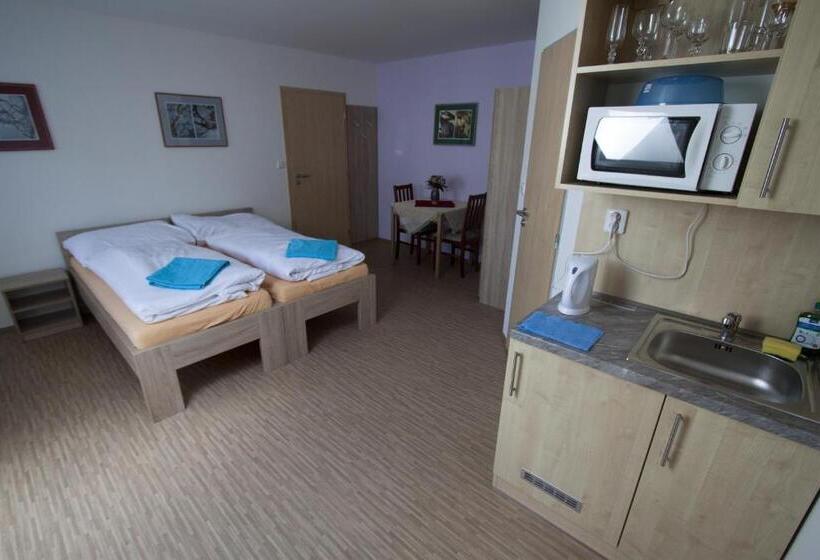 اتاق استاندارد, Vila Aneta