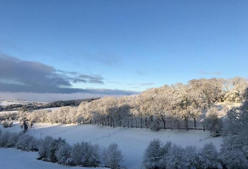 Номер Стандарт, Château Du Puech