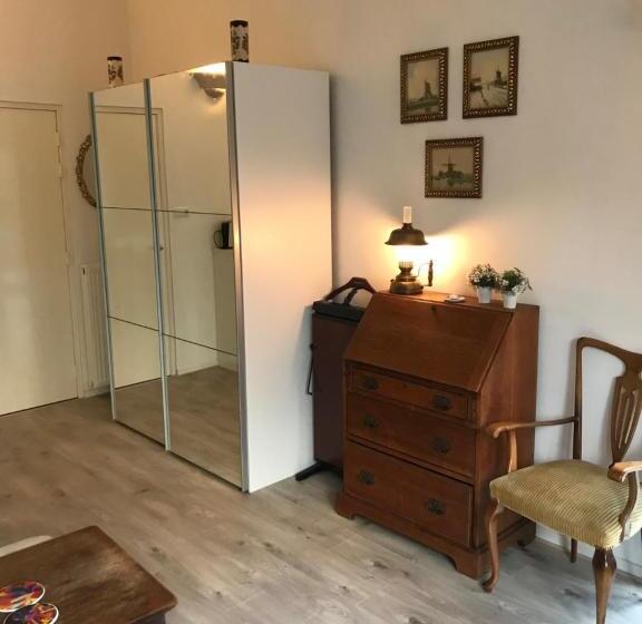 디럭스 룸 킹사이즈 침대, Villa  T Haasduin