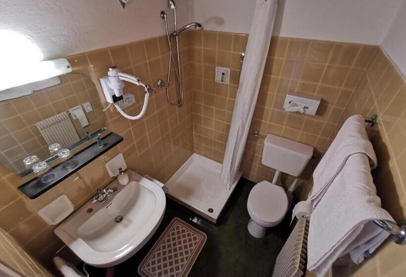 Номер Стандарт Панорамный Вид, Active B&b Prairerhof