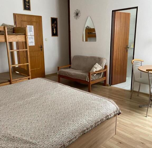 اتاق استاندارد سه نفره, Pension Roklan