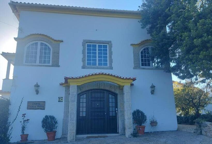 Номер Стандарт, Santa Maria Casa Nostra