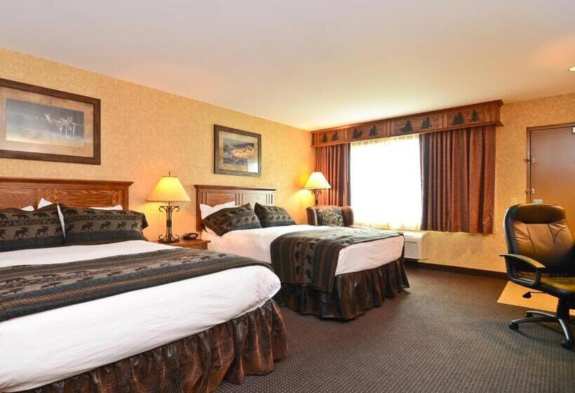 豪华房间, Best Western Plus Kelly Inn And Suites