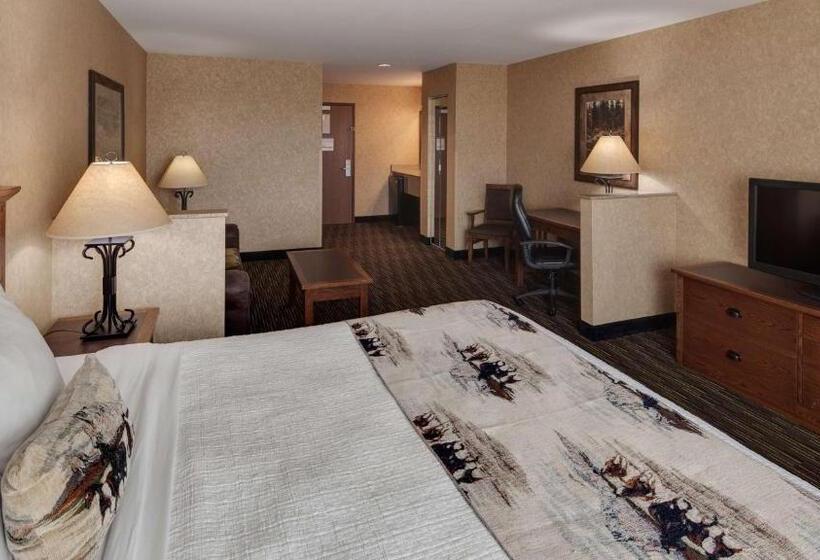 带大床的标准间, Best Western Plus Kelly Inn And Suites
