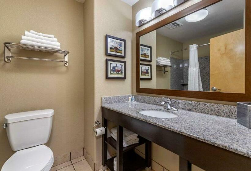 스위트 킹사이즈 침대, Comfort Suites