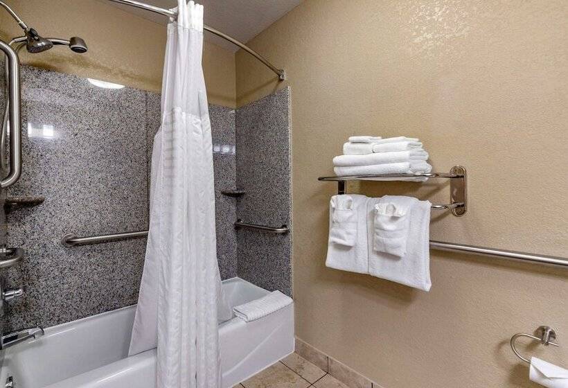 장애인을 위한 스위트, Comfort Suites