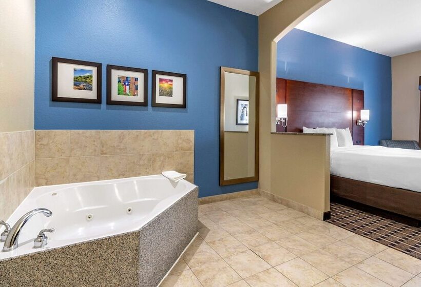 장애인을 위한 스위트, Comfort Suites