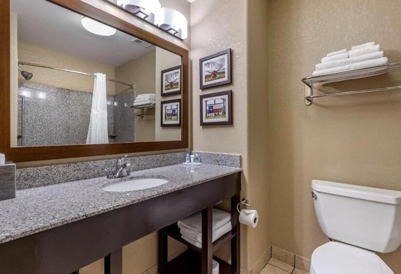 장애인을 위한 스위트, Comfort Suites