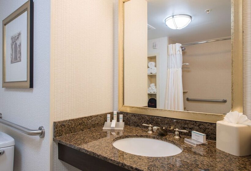 身障者適用スタンダードルーム, Hilton Garden Inn Atlanta Airport North