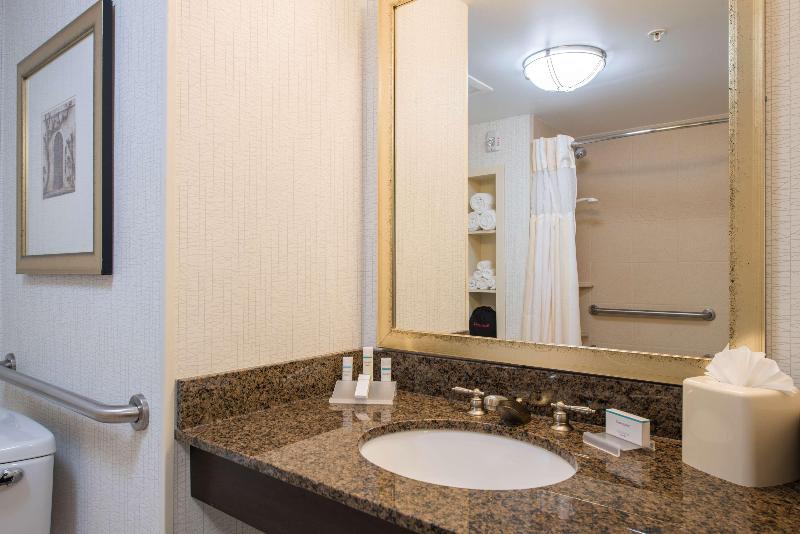 キングサイズベッドのスタンダードルーム, Hilton Garden Inn Atlanta Airport North