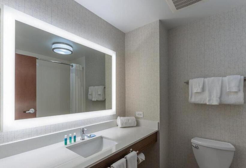 Люкс Кровать Кинг, Holiday Inn Express   Indianapolis   Southeast, An Ihg