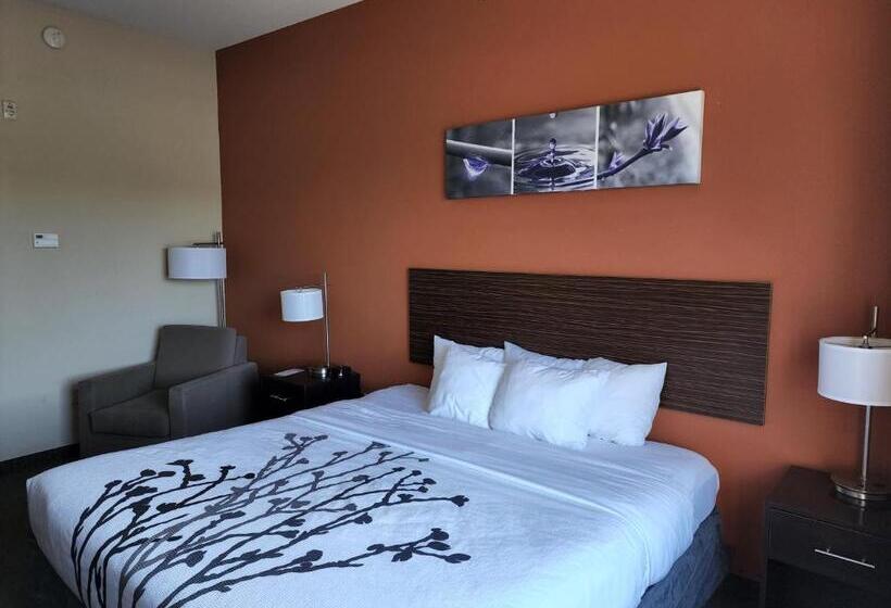 Стандартный Номер Кровать Кинг, Sleep Inn & Suites Dyersburg I155