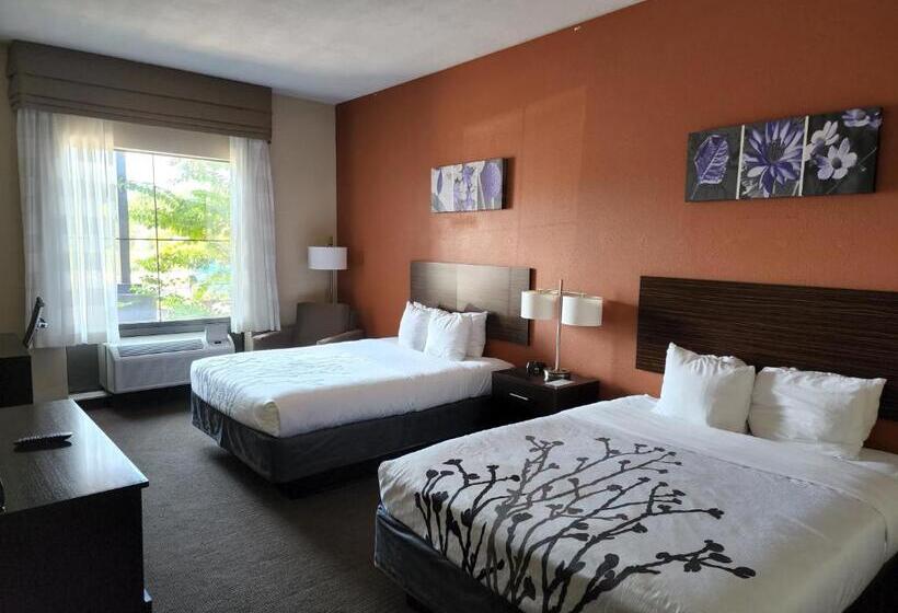 Номер Стандарт, Sleep Inn & Suites Dyersburg I155