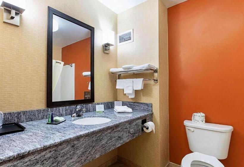 Люкс Кровать Кинг, Sleep Inn & Suites Dyersburg I155