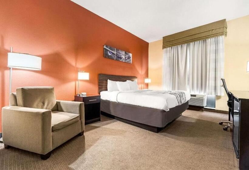 Стандартный Номер Кровать Кинг, Sleep Inn & Suites Dyersburg I155