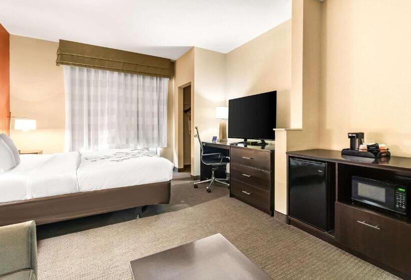 Люкс Кровать Кинг, Sleep Inn & Suites Dyersburg I155