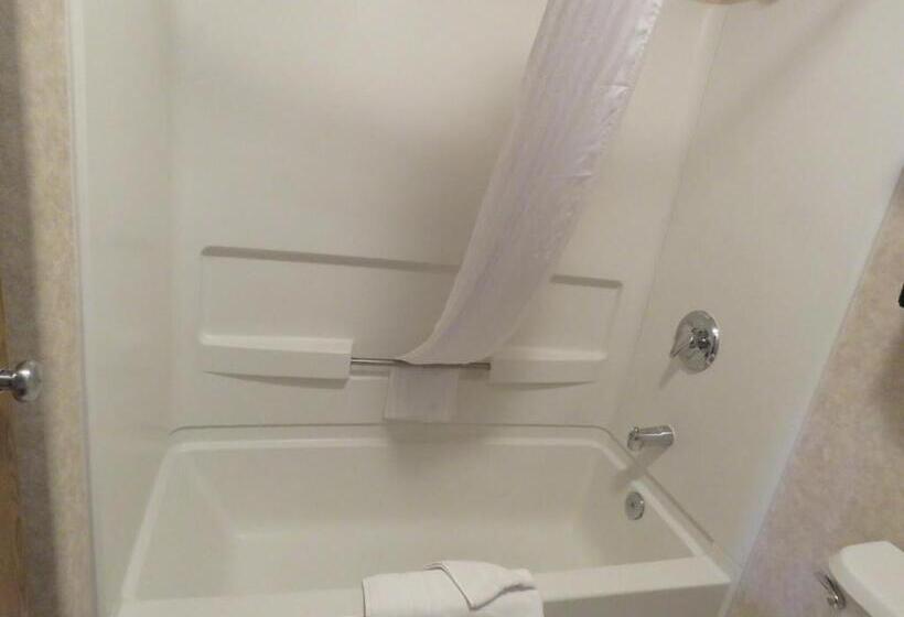 스탠다드 룸, Stay Wise Inn Cedaredge