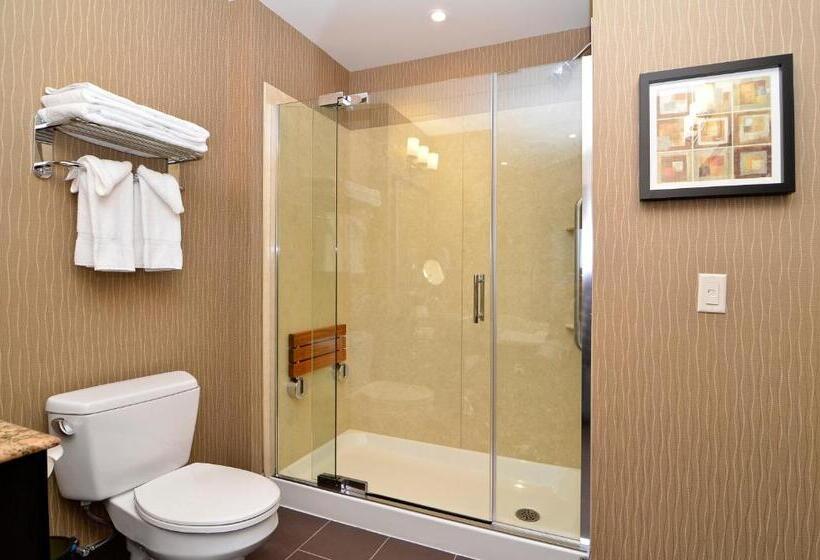 キングサイズベッドのスタンダードルーム, Best Western Premier Freeport Inn Calgary Airport