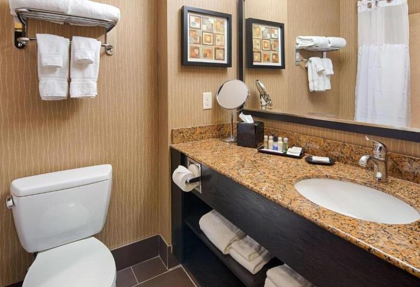 身障者適用スタンダードルーム, Best Western Premier Freeport Inn Calgary Airport