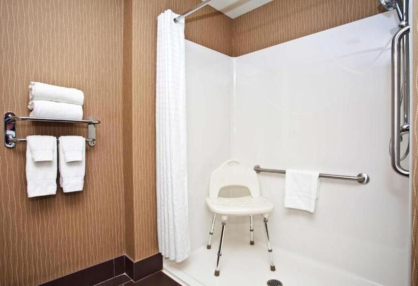 身障者適用キングサイズベッドルーム, Best Western Premier Freeport Inn Calgary Airport