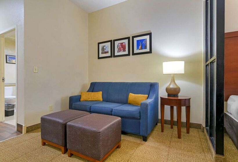 장애인을 위한 스위트, Comfort Suites Fultondale I65 Near I22