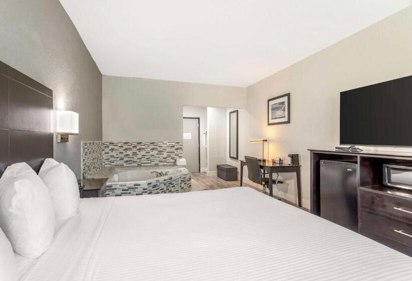 스탠다드 룸 킹사이즈 침대, Best Western Texas City I 45