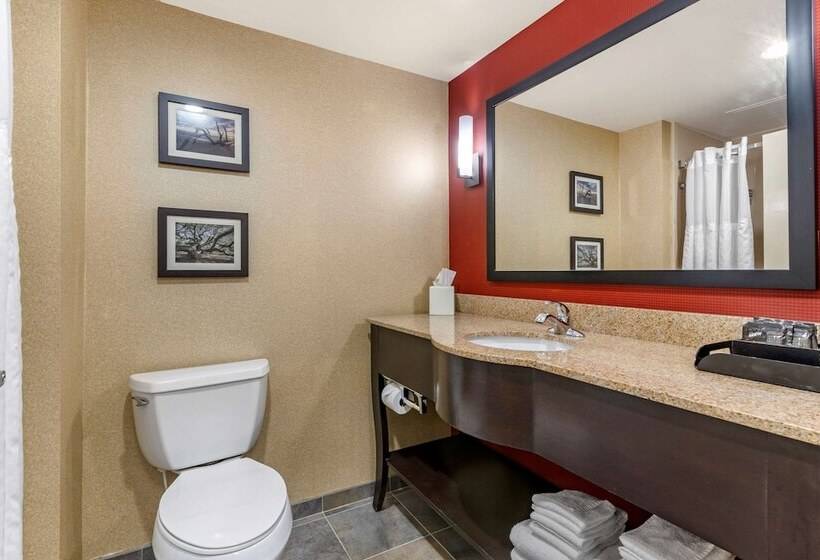 סוויטה, Comfort Suites Florence I95