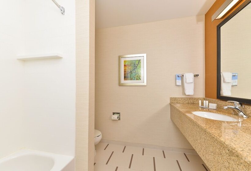 스탠다드 룸 더블 침대 2개, Fairfield Inn And Suites By Marriott Nashville Smyrna