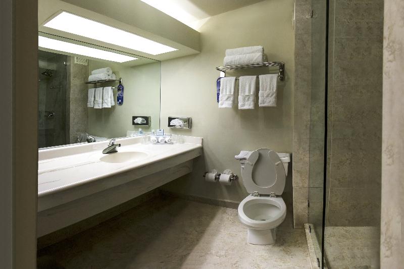 キングサイズベッドのスタンダードルーム, Holiday Inn Express Piedras Negras, An Ihg