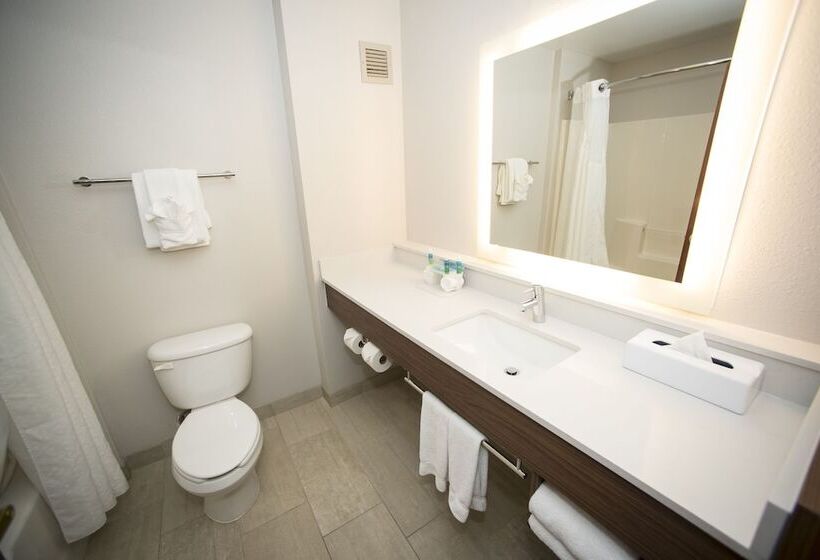 套房, Holiday Inn Express Hotel & Suites Lexington Downtown University, An Ihg