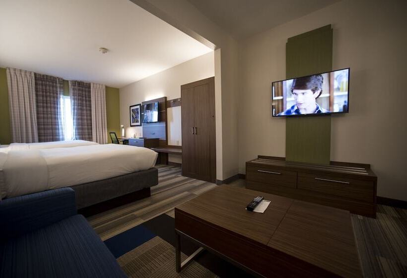 套房, Holiday Inn Express Hotel & Suites Lexington Downtown University, An Ihg