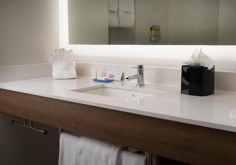 Номер Executive Кровать Кинг, Holiday Inn Express Hotel & Suites Olive Branch, An Ihg