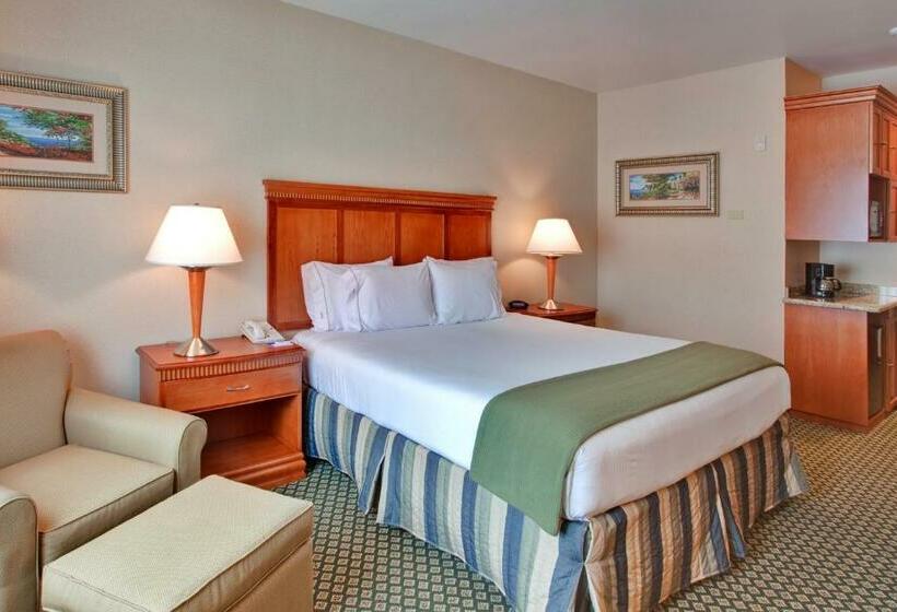장애인을 위한 스위트, Holiday Inn Express Hotel & Suites Ontario Airport Mills Mall, An Ihg