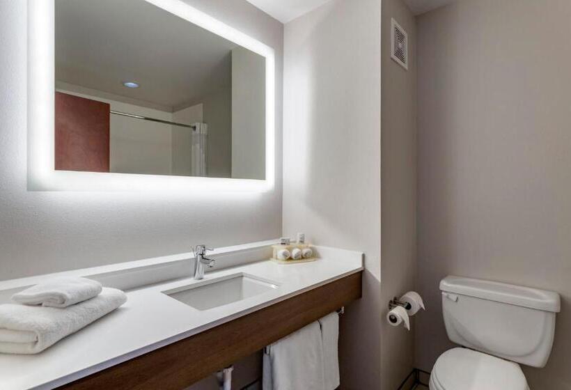 스탠다드 룸, Holiday Inn Express Hotel And Suites Natchitoches, An Ihg