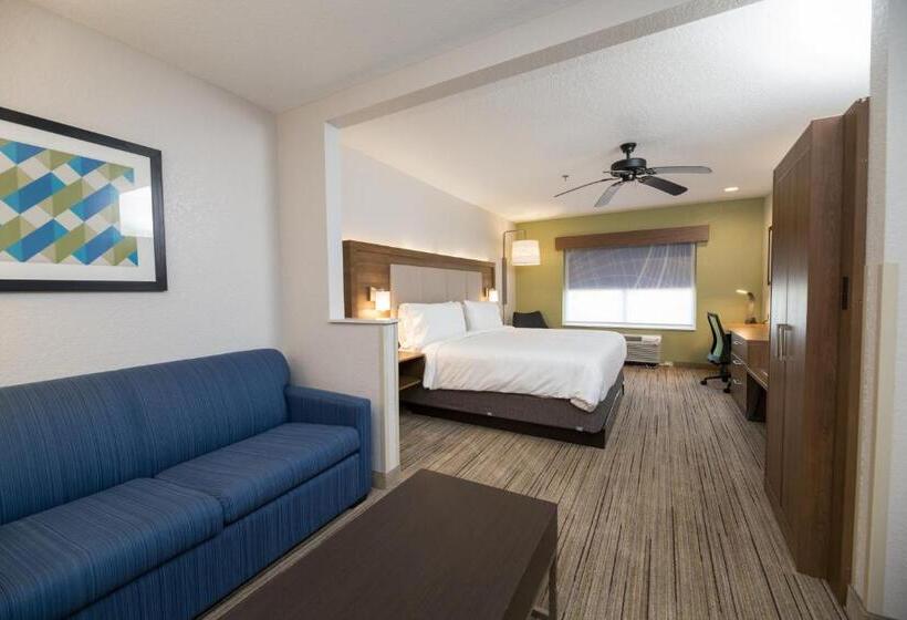 Люкс Кровать Кинг, Holiday Inn Express Hotel & Suites Clinton, An Ihg