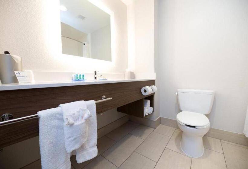 Люкс, Holiday Inn Express Hotel & Suites Clinton, An Ihg