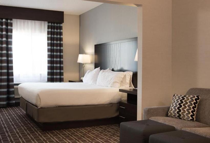 Номер Executive Кровать Кинг, Holiday Inn Express Le Claire Riverfront Davenport, An Ihg