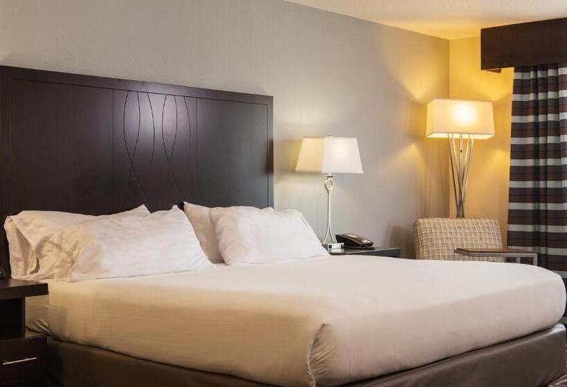 Стандартный Номер Кровать Кинг, Holiday Inn Express Le Claire Riverfront Davenport, An Ihg