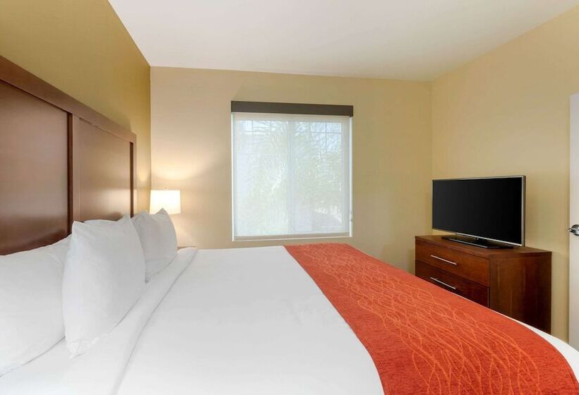 스위트, Comfort Inn & Suites Near Ontario Airport